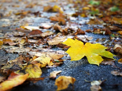 Cuando la calzada no está limpia, ¿es más peligroso conducir?