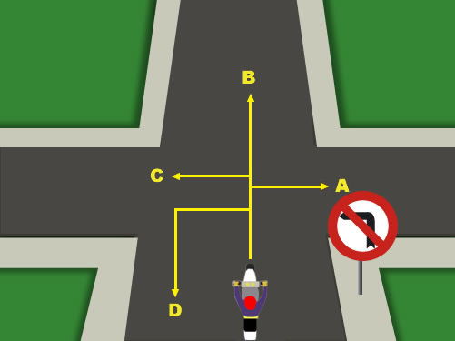 ¿Qué dirección, de las indicadas, podrá tomar el conductor?